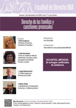 Derecho de las familias y cuestiones procesales 