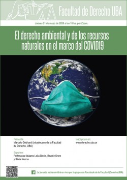 El Derecho Ambiental Y De Los Recursos Naturales En El Marco Del ...