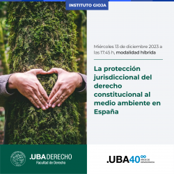 La protección jurisdiccional del derecho constitucional al medio ambiente en España