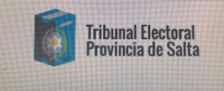 Observacin de las elecciones en la Provincia de Salta