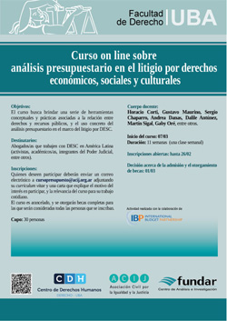 Curso on line sobre Análisis Presupuestario en el litigio por Derechos Económicos, Sociales y Culturales